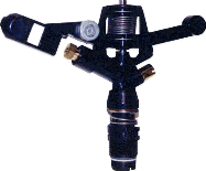 36.gif (7294 bytes)