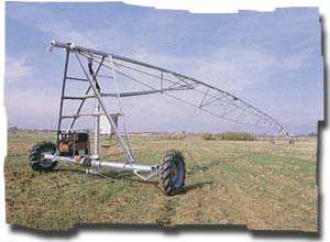 mp_100.jpg (20041 bytes)
