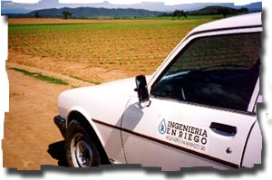 servicio_de_campo_permanente.jpg (24579 bytes)